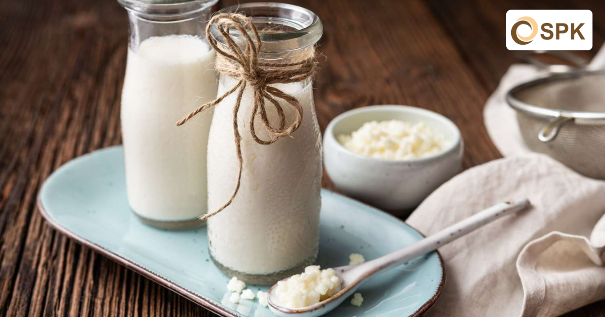 Susu Fermentasi Kefir Jenis & Manfaatnya untuk Kesehatan