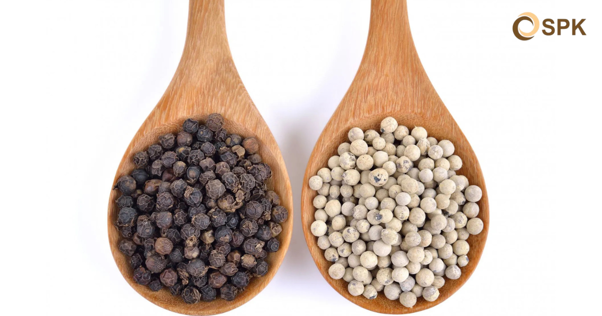 Let's Learn the Differences Between Pepper and Coriander - Pepper Photos