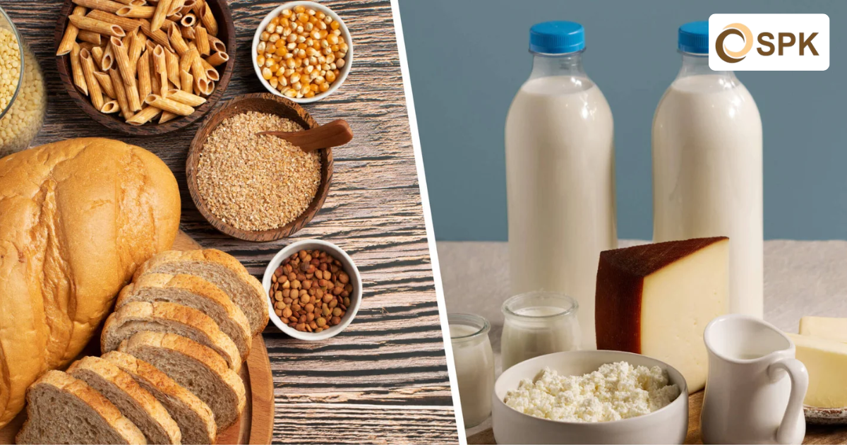 Sodium Caseinate, Manfaat & Penerapannya dalam Pangan